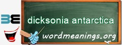 WordMeaning blackboard for dicksonia antarctica